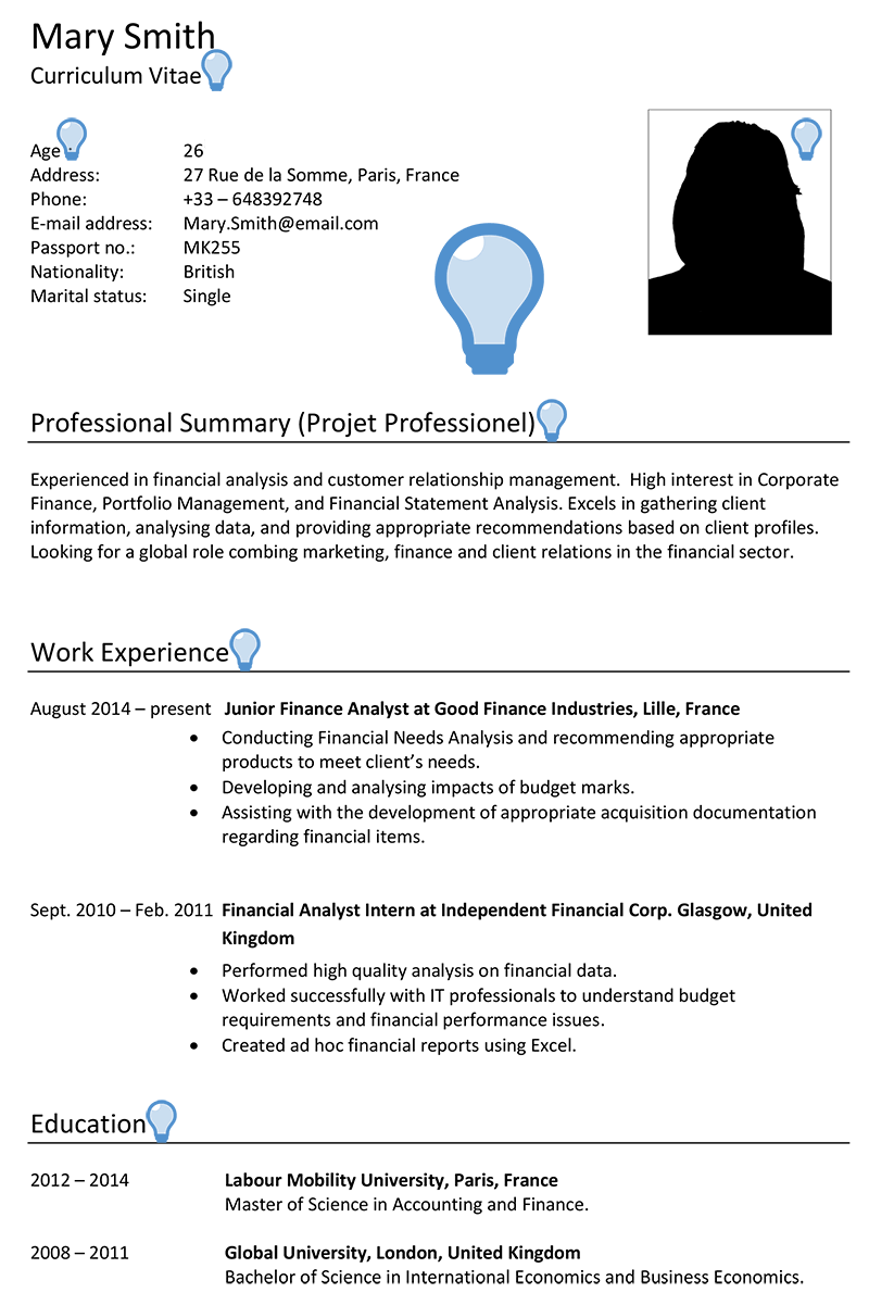 France CV Sample | CareerProfessor.works